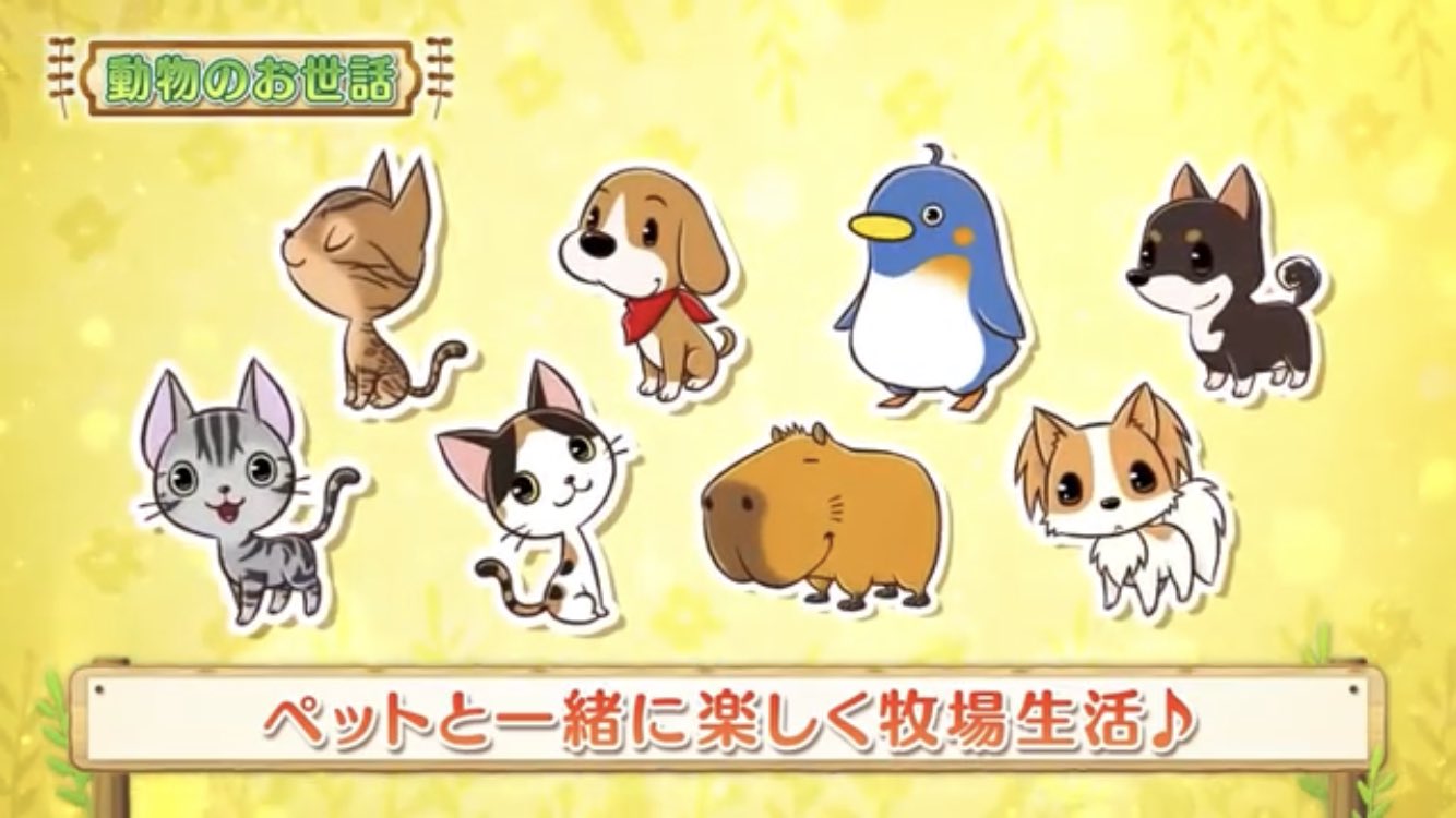 ちの 牧場物語 再会のミネラルタウン Bokumono Pr ペット選べるみたい ここに犬がいるなら犬 選ばなかったときの犬レースはどうなるんだろう ちの 牧場物語 再会のミネラルタウン Bokumono Pr ペット選べるみたい ここに犬がいるなら犬 選ばなかったときの犬レースはどうなるんだろう