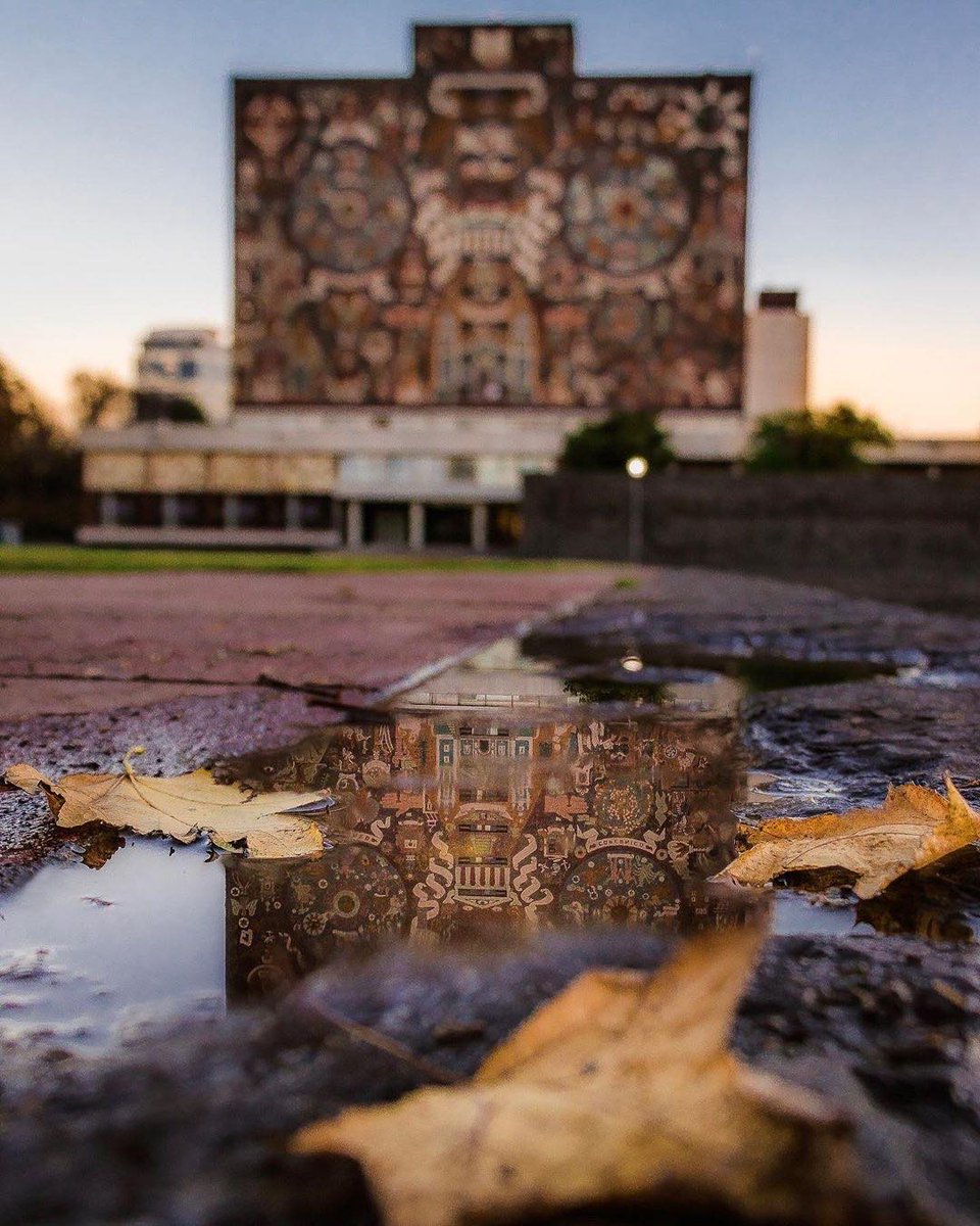 UNAM_MX's tweet photo. El otoño enmarca la #PostalUNAM de @vidal.riv, desde la Biblioteca Central. 🍂😍 > https://t.co/TrqzWjb61S https://t.co/02qf9P9nKu