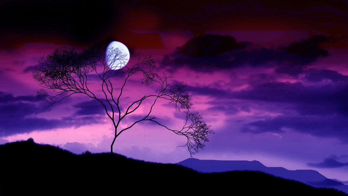Enjoy Nature 🌳🌸✈️ på Twitter: "Have a good night Twitter nature lovers,  tomorrow will be a beautiful day. 🌙🌟 #nature #moon #sky #redsky  #landscape #naturelovers #photography #Twitter #magic #beauty #clouds  #colors #night #