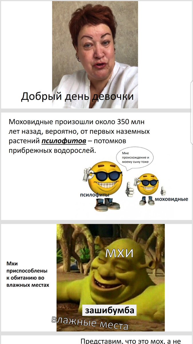 MebelTuturu's tweet photo. Я ХОЧУ ЧТОБЫ ВЫ ВИДЕЛИ КАКУЮ ПРЕЗИНТАЦИЮ ЗАМУТИЛА МОЯ ПОДРУЖКА 
ЗАВТРА БУДУ ПО НЕЙ ПРЕПОДАВАТЬ СЕМИКЛАШКАМ БИОЛОГИЮ АХХАХАХ https://t.co/MoulPZxACm