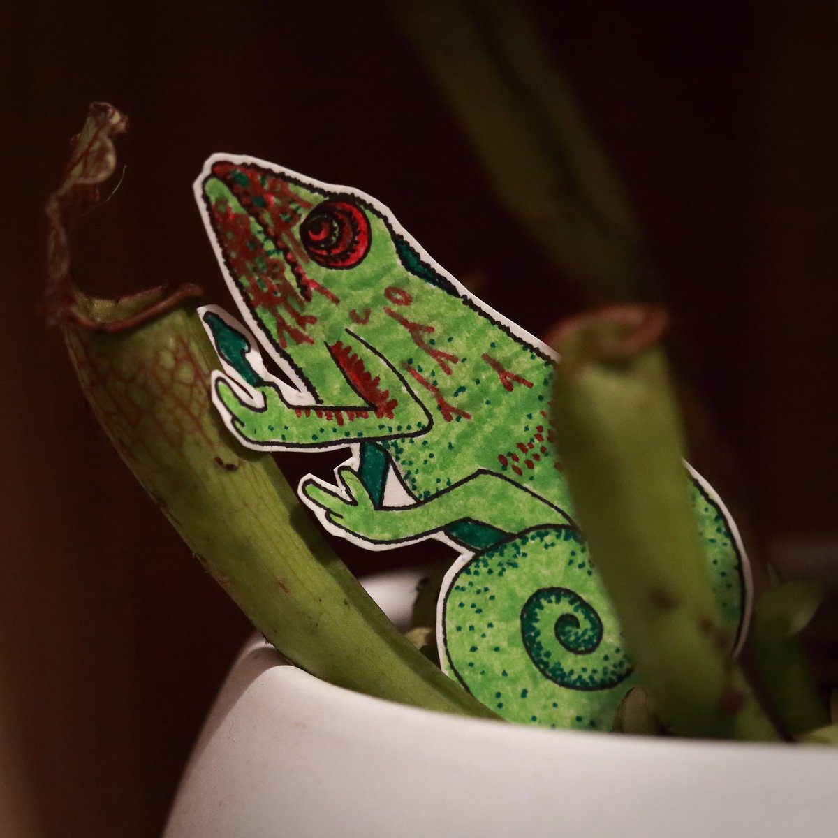 LuluCinda's tweet image. Le caméléon, économisant son énergie, attendit ses proies près des pièges naturelles.

#ink #inktober #inktober2019 #bait #appât #drawing #dessin #photography #photographie #photo

(instagram.com/p/B3K9zLVo6JV/…)