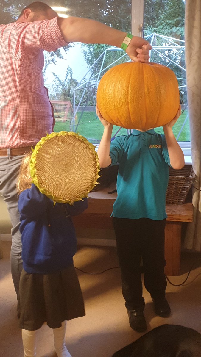 Appreciating the autumn garden spoils, musing on pumpkin designs and marvelling at the beauty of the Fibonacci sequence. Inspiring a young mathematician..x