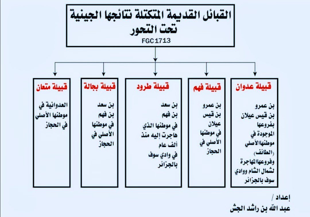 العدواني وش يرجع