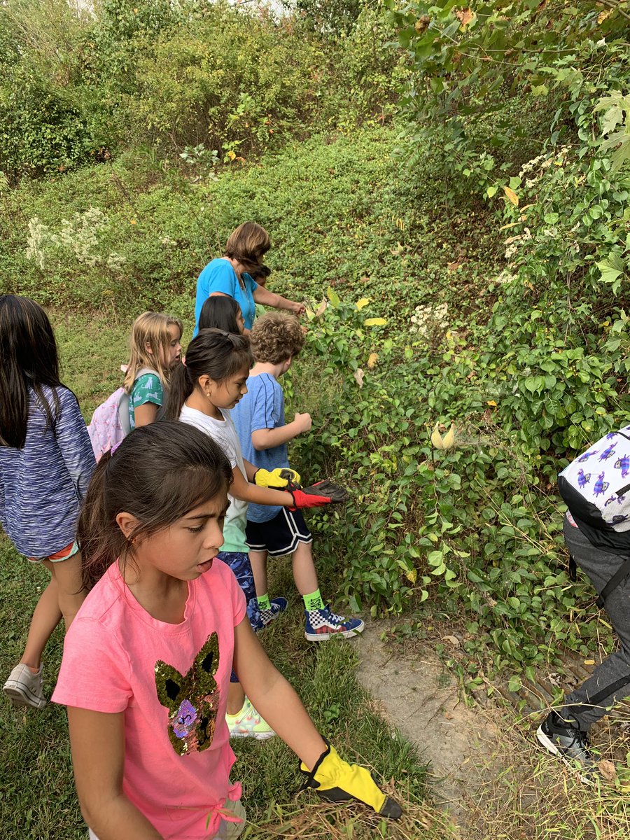 Guardians of the Earth EcoClub prepare the storm drain for painting, weed the garden, &amp; rescue milkweed from invasive plants @BTESNatalie <a href="/MsAbuRishBTES/">Nadya Abu-Rish</a> <a href="/fcpsGet2Green/">FCPS Get2Green</a>
