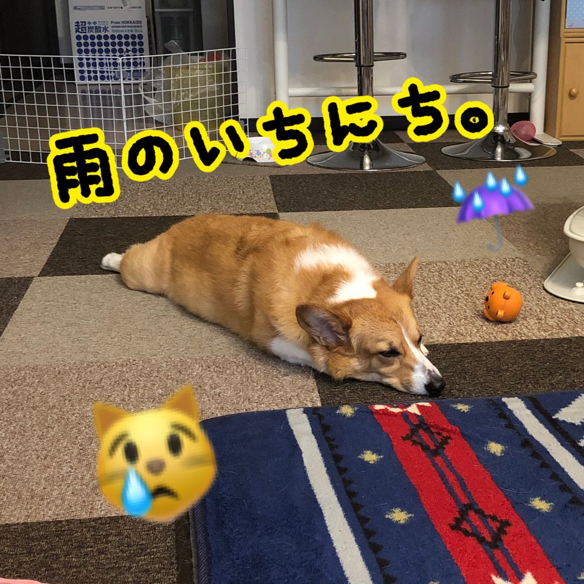 微動だにしない