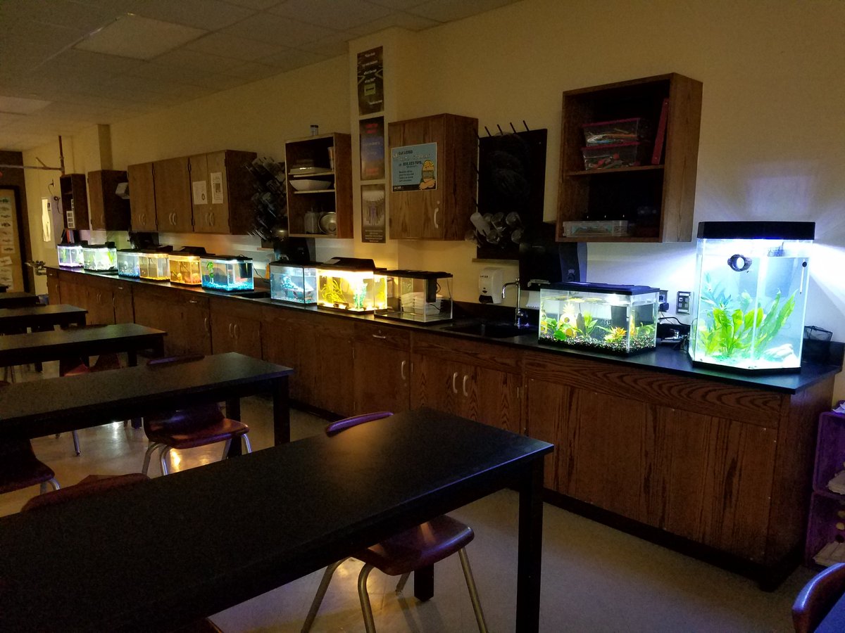 CreedonGR's tweet photo. Aquatic Science tanks are up and running!! Great way to start the 2nd six weeks #WeAreGR #AquaSci https://t.co/e89u8okvCO