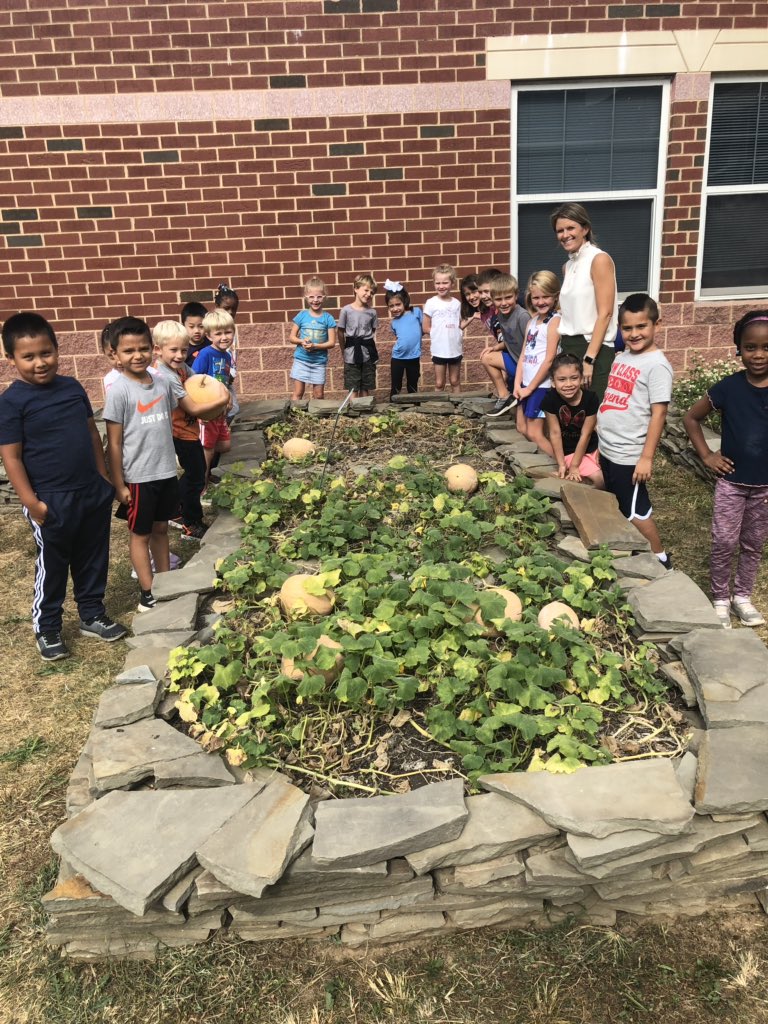 1st graders harvesting a pumpkin that they planted last year as kindergarteners 🎃 #FHRES20