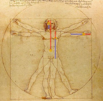 Ver imagen en Twitter