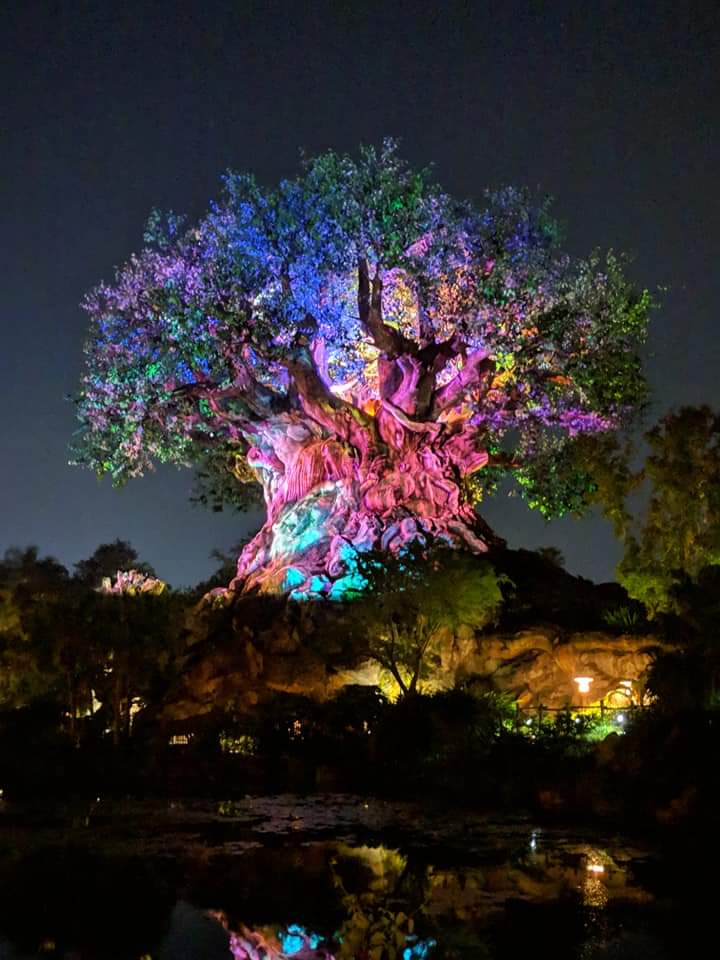 disresorts's tweet photo. Life forms into a different colors what #color you are? https://t.co/nBlhnwWukP