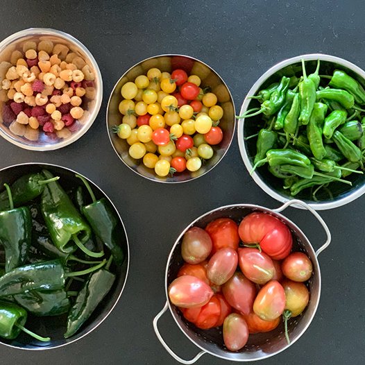 We're sharing one of High Camp Home owner Diana's favorite recipes for Padron pepper appetizers - Blister the peppers in olive oil, sprinkle with coarse sea salt and drizzle with honey. Super simple and super good! #deliciousappetizers #padronpeppers #yesplease #highcamphome