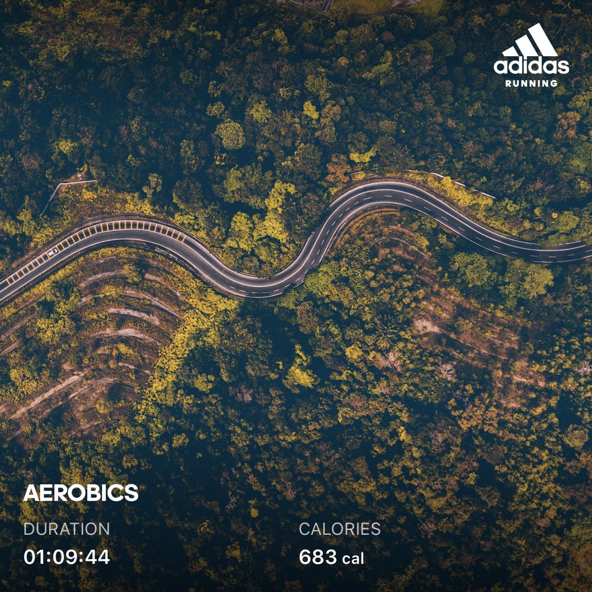 cathchat's tweet image. 