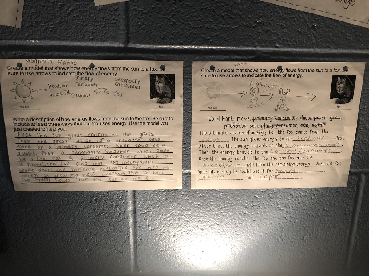 MrsStefanik's tweet photo. To quote a student “Spotlight on food chains” lol! #differentiation https://t.co/WlugIWUkXb