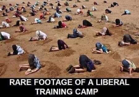 LanceGuidry's tweet photo. https://t.co/cq4U6beNvQ