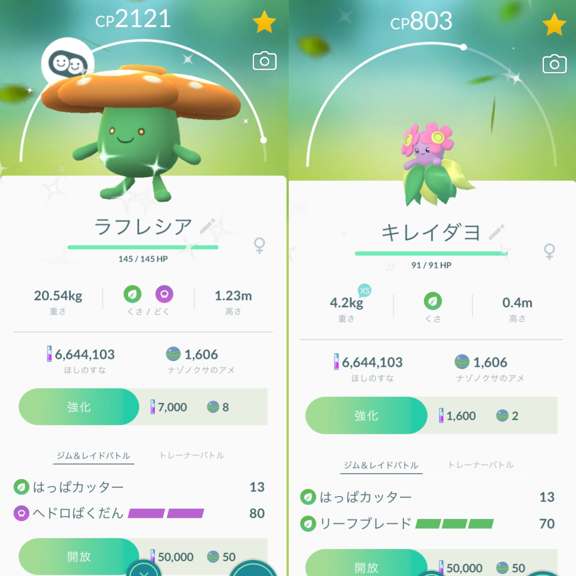 色違いラフレシア Twitter Search Twitter