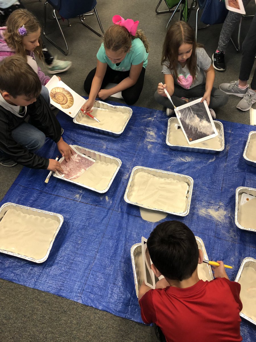 Classroom206's tweet photo. Our class loved our fossil dig! We practiced identifying fossils and thought about what scientists can learn from fossils. #EngageD64 https://t.co/gWZ2L9KT7z