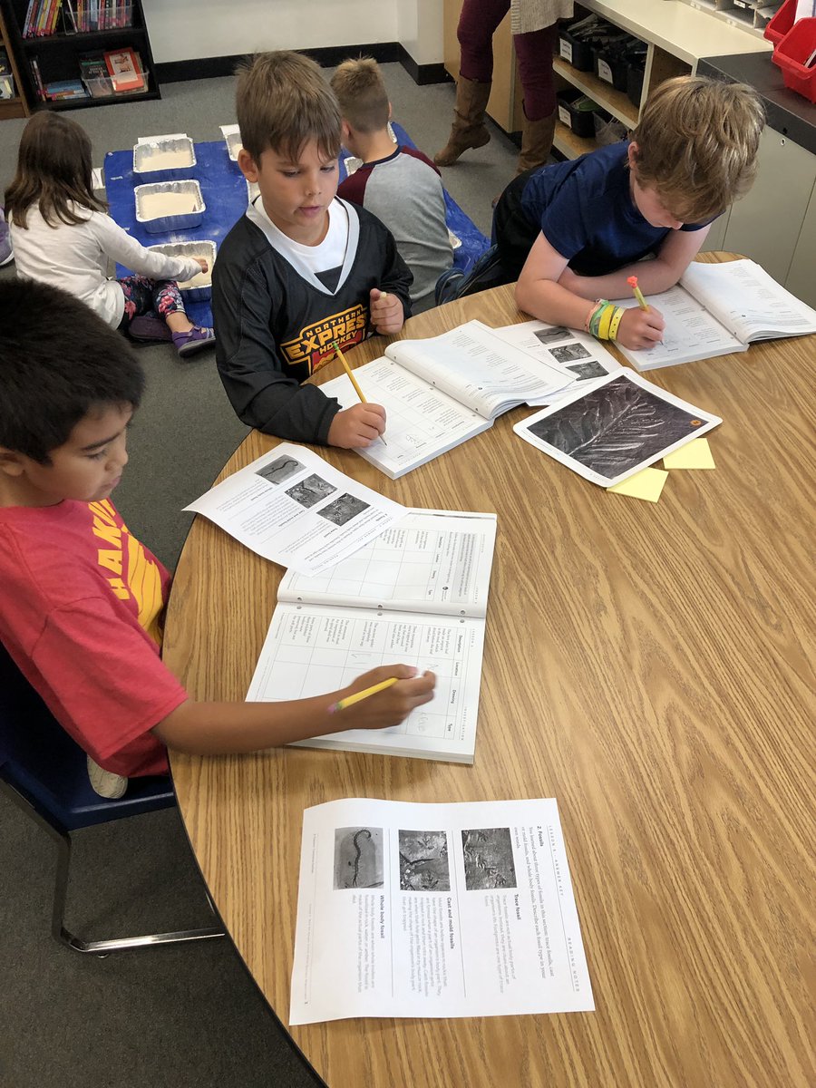 Our class loved our fossil dig! We practiced identifying fossils and thought about what scientists can learn from fossils. #EngageD64