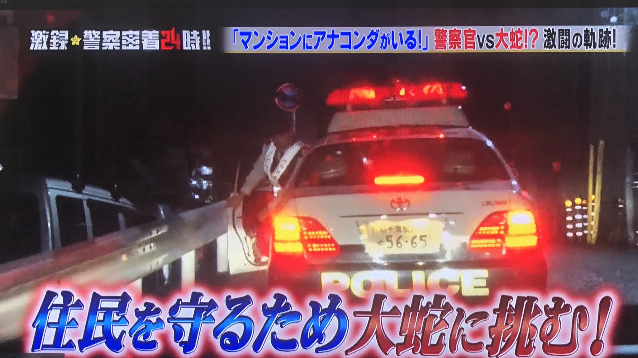 鈴村展弘 公式アカウント 昨日のテレ東の激録 警察密着24時 で蛇を警察が捕獲するシーンでクウガのbgmが使われてた パトカーとか警察とかのこの雰囲気とクウガのbgmって合うんだよな 仮面ライダークウガ Bgm T Co Apospxscf5 Twitter 鈴村展弘 公式アカウント 昨日のテレ東の激録 警察密着24時 で蛇を警察が捕獲するシーンでクウガのbgmが使われてた パトカーとか警察とかのこの雰囲気とクウガのbgmって合うんだよな 仮面ライダークウガ Bgm T Co Apospxscf5 Twitter