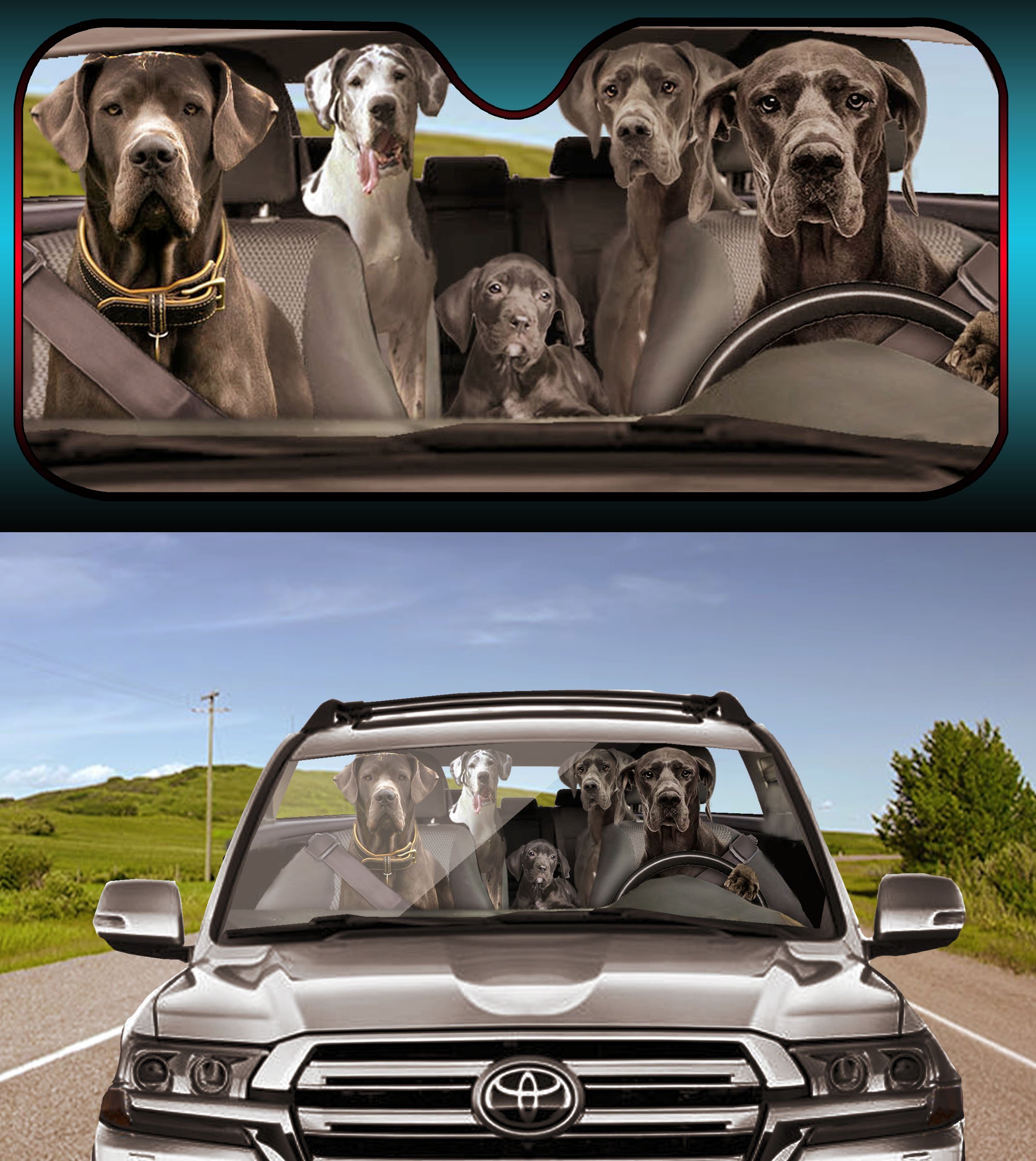 Sun guardian car shade deals