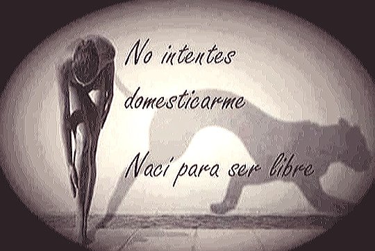 MartaMDiaz2's tweet photo. https://t.co/sgdtmpo4eT