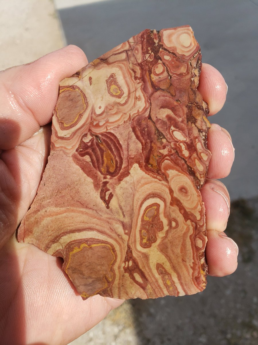 Altamont On Twitter Excited To Share The Latest Addition To My Etsy Shop Wonderstone Slab Wfs3a Https T Co Pamobrmzpx Supplies Slab Wonderstone Ryolite Jasper Aquarium Rocl Lapidary Stone Https T Co R3sdgsvbkr