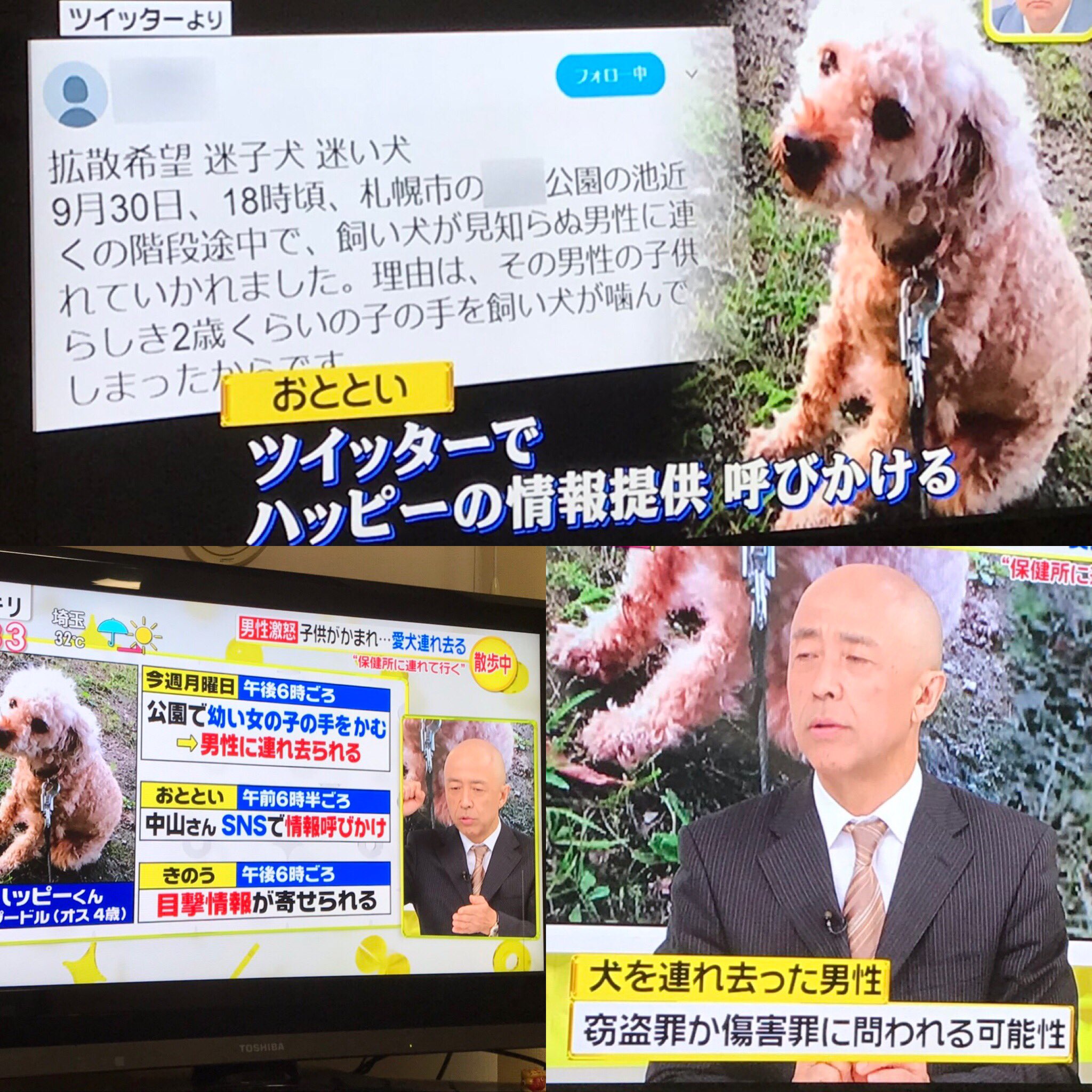 Miu 犬の連れ去り ハッピーちゃん 連れ去った父親 どう考えても窃盗罪 犬 も１つの命 法律を見直すきっかけになるのではないだろうか 連れ去り ハッピーちゃん スッキリ 窃盗 拡散 犬連れ去り T Co Lbcpged3np Twitter