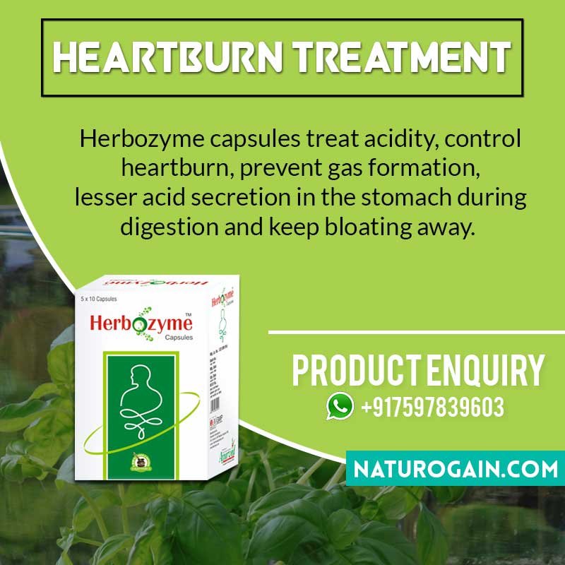 naturogain's tweet image. Best Homemade Heartburn Friendly Recipes to Cure Acidity

Know about best homemade heartburn friendly recipes that cure acidity.

naturogain.com/product/herbal…

#acidity #acidityrelief #acidityproblems #health #healthremedies  #colon_cleanse #stomach_bloating