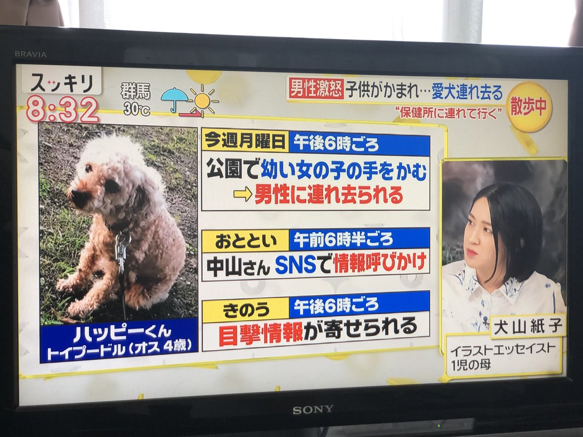 犬連れ去り Twitter Search 犬連れ去り Twitter Search