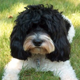 E M Taub tweet media