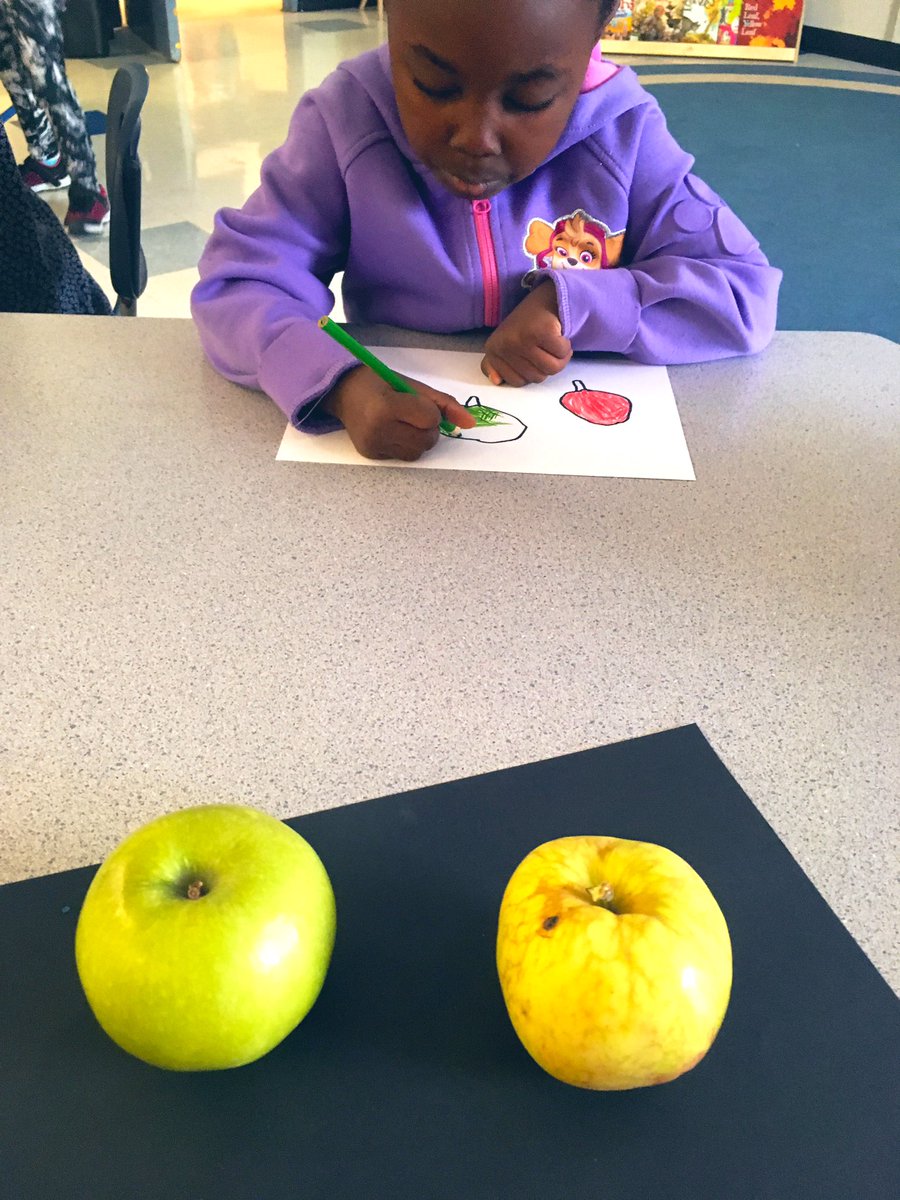 DHSCavanaugh's tweet photo. Kindergarten friends learned about Still Life Drawing.  
We use our artist eyes to look closely at the shape, size and colour of the object we are drawing 🍎 
After carefully drawing our apples, we used watercolour pencil crayons to add colour. https://t.co/JAs0bXM9Fw