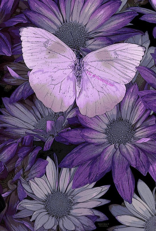 Twittblaster's tweet photo. Many people will walk in and out of your life,
but only true friends will leave footprints
in your heart. ~ Eleanor Roosevelt

#Twittblaster #TwittblasterFlowers #Flowers #Footprints https://t.co/mRxmuRuFgS