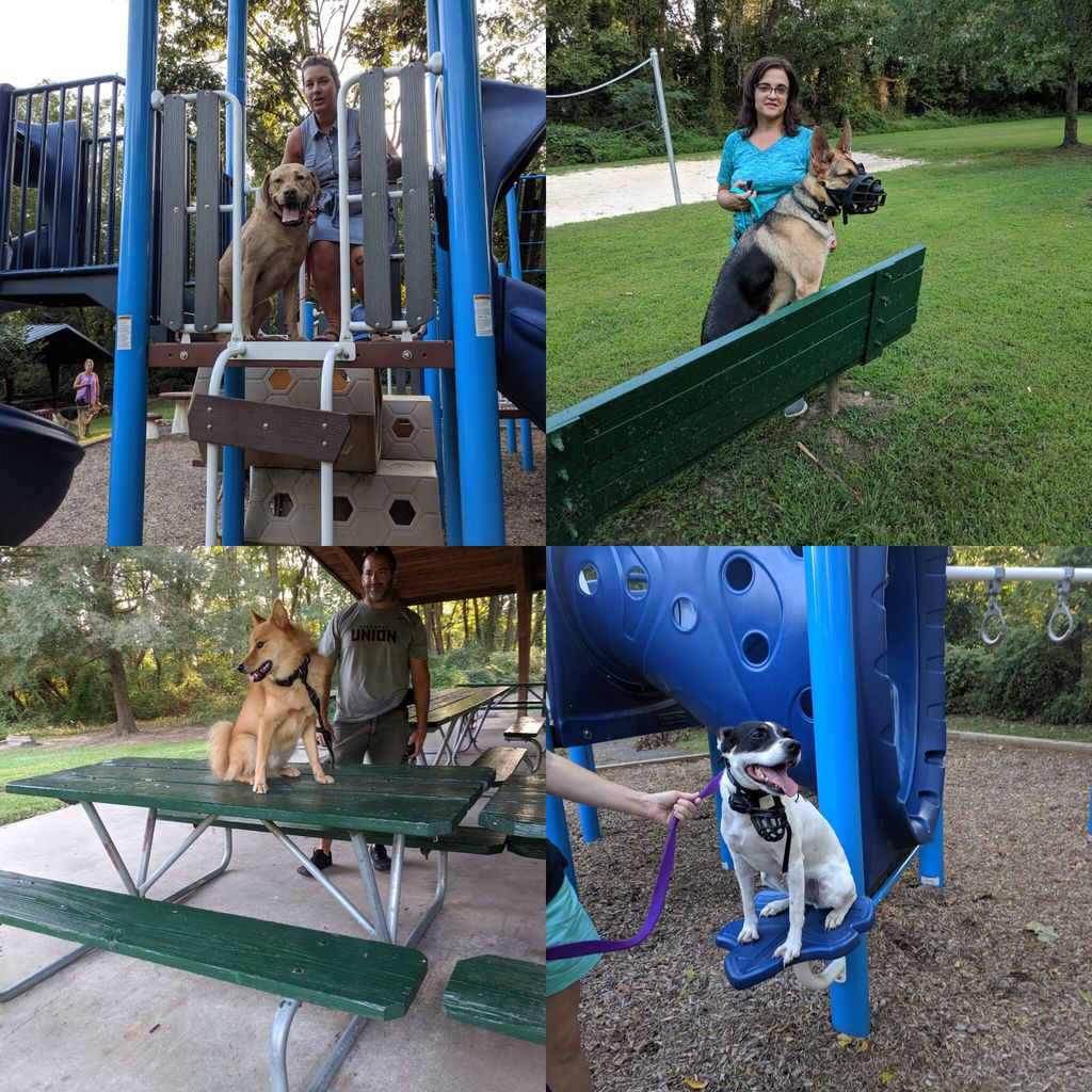 BLK9MD's tweet photo. We love spending time with your dogs and you! So come join us and sign up for a pack walk.

_______________________________________________
Start training with us today!
 Call 800-266-2365 or email us Traininginfo@bluelinek-9.com
check out our site Blue… https://t.co/faAhmZb6df