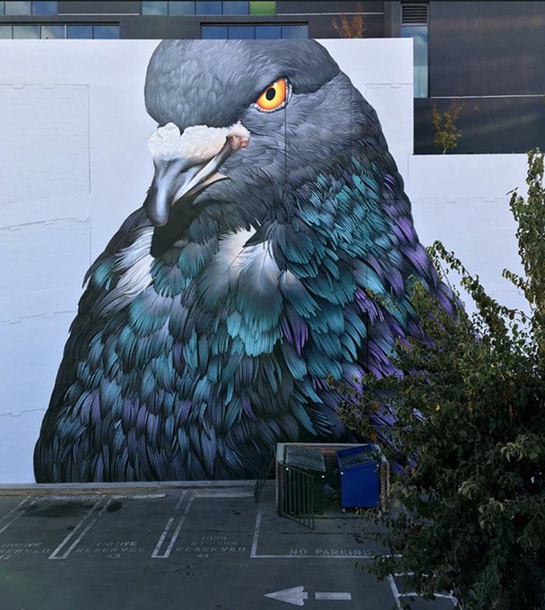 鳥をテーマにした様々なデザインやアート Designature