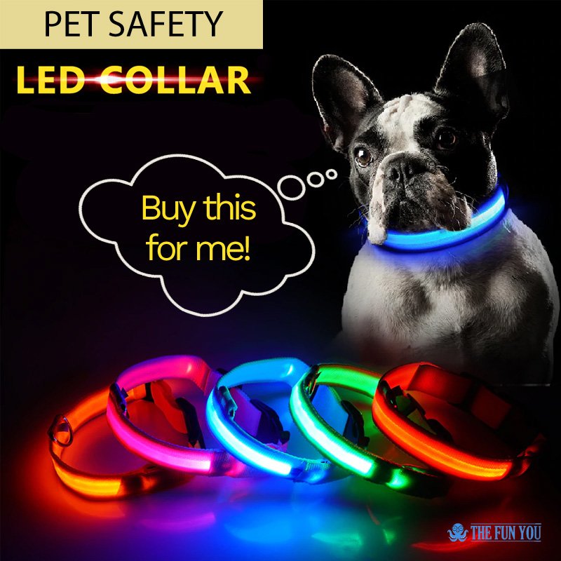 TheFunYou's tweet image. Our offerings are not only for you but some are also for your pets, just like with this guy's shiny new LED Safety Collar! thefunyou.com/collections/un… #DogWalker #Dogs #PetSafety #ILoveMyDog