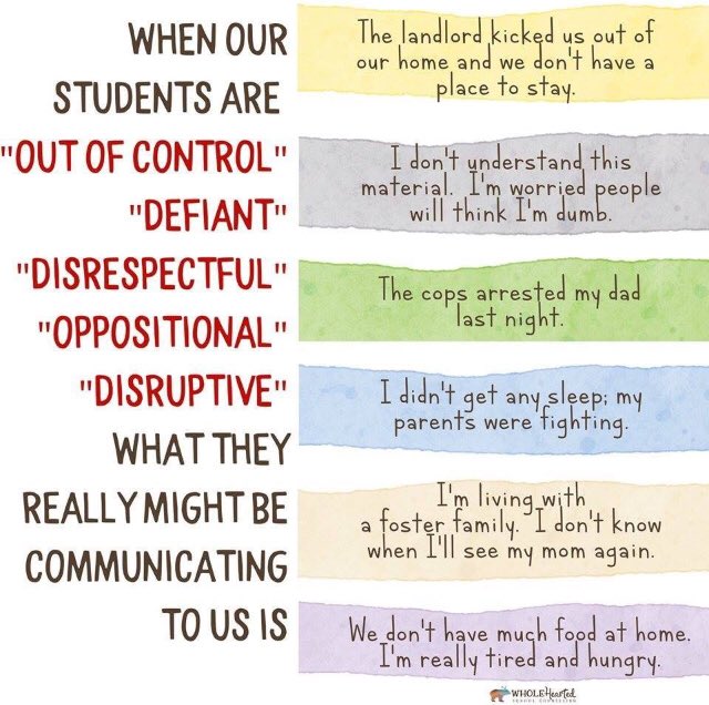 Krista Perry tweet media