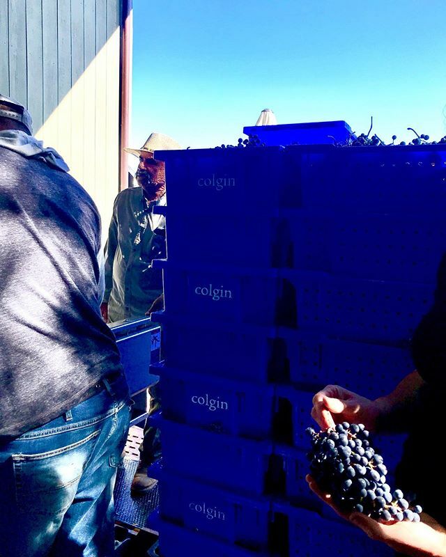 LisaPBMW's tweet photo. At Colgin this morning, tasting the 2017s &amp; checking out the 2019 harvest. #napavalley #colgin #wineadvocate #robertparker #cabernetsauvignon #wineharvest #winetasting #winereview #winecritic #colgincellars @colgincellars https://t.co/XuAsbgs3qC https://t.co/4mIl553lIx