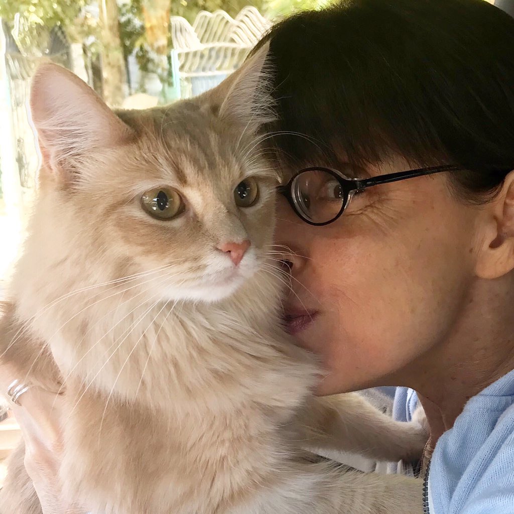 LaraJillMiller's tweet image. #fluffernutter 😽