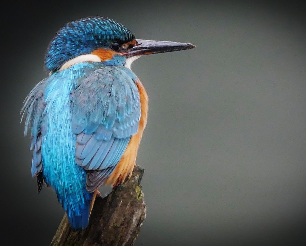 addyiceangel's tweet image. “I don&apos;t want to be rich and famous but I want to die knowing I stood infront of a broken man and gave him one reason to smile again.”
      ~ Nikki Rowe