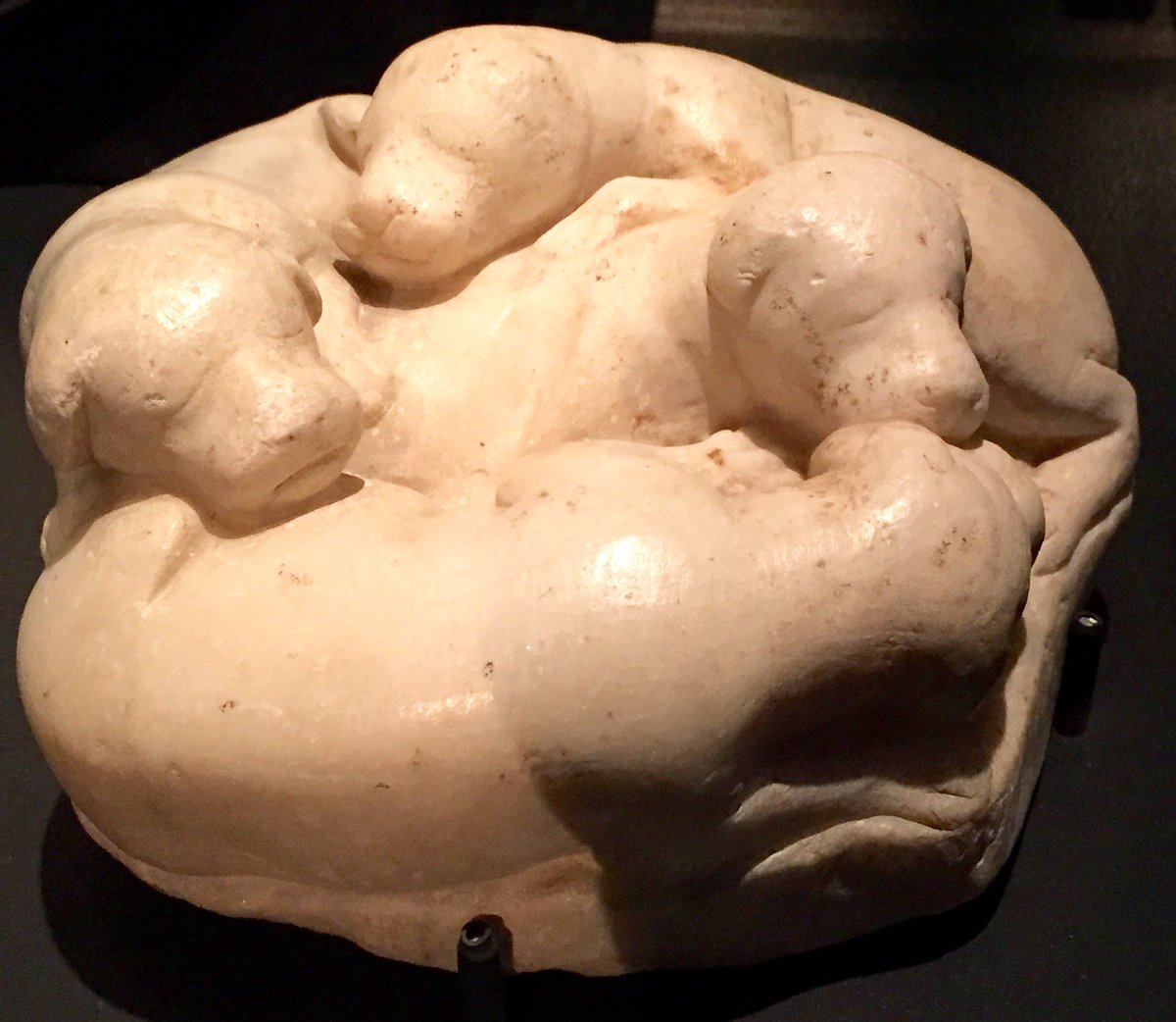 Intervain's tweet photo. Inspiration: Roman dog sculptures - the famous Jennings Dog which is a copy of a Greek piece, the Townley Greyhounds, House of Faun [Pompei] puppies and a dog hunting a deer from the Vatican Collection... https://t.co/2y6jvAi9vi