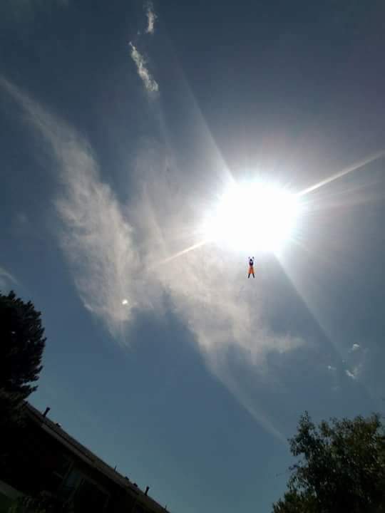 JonasTorrees's tweet image. Aquí la Respuesta de por qué ya no cayó el Meteorito...
Gracias una vez más Gokú 🐉