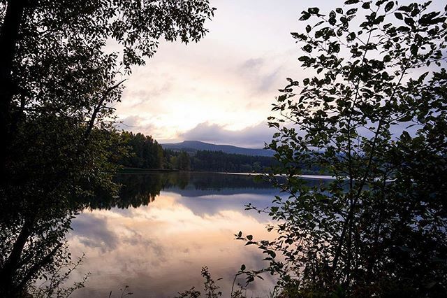 KING5Evening's tweet photo. Lake Padden just south of Bellingham is just one part of our state that makes it the #PacificNorthBEST 💙 | 📸: @jessa_hokama_photography
#pnw #pnwisbeautiful #thatpnwlife #optoutside #sunrise #pnwdiscovered #pnwcollective #pnwonderland #upperleftus… https://t.co/rqltquyrcn https://t.co/jMC8JgDRlp