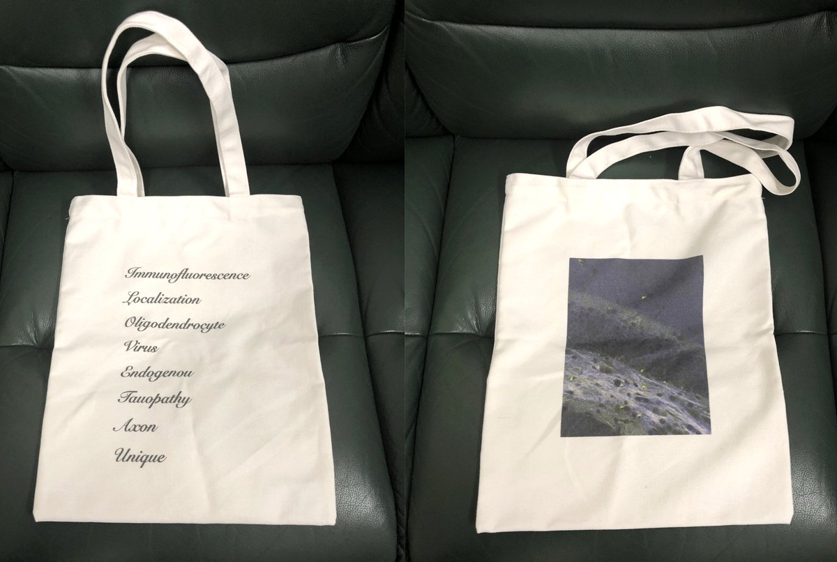 Misono_Lab's tweet image. Undergrad game me this bag based on the cover image of our recent paper!