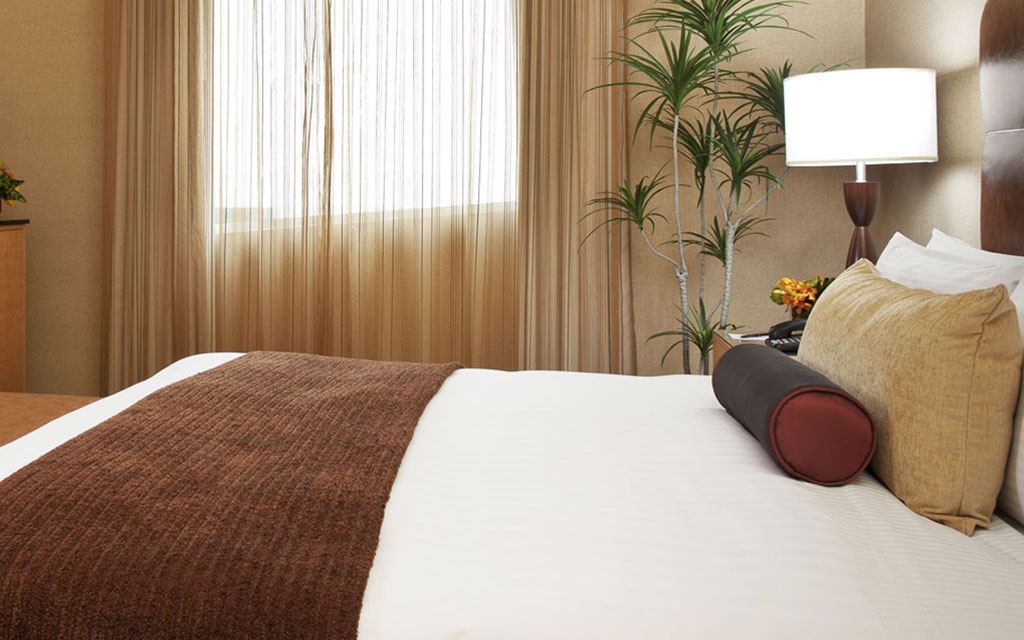 elanhotel's tweet photo. Save up to 15% on your reservations at Élan Hotel when you book and pre-pay at least 14 days in advance.

https://t.co/s7jPhDos7a https://t.co/w5zwcbHj4X