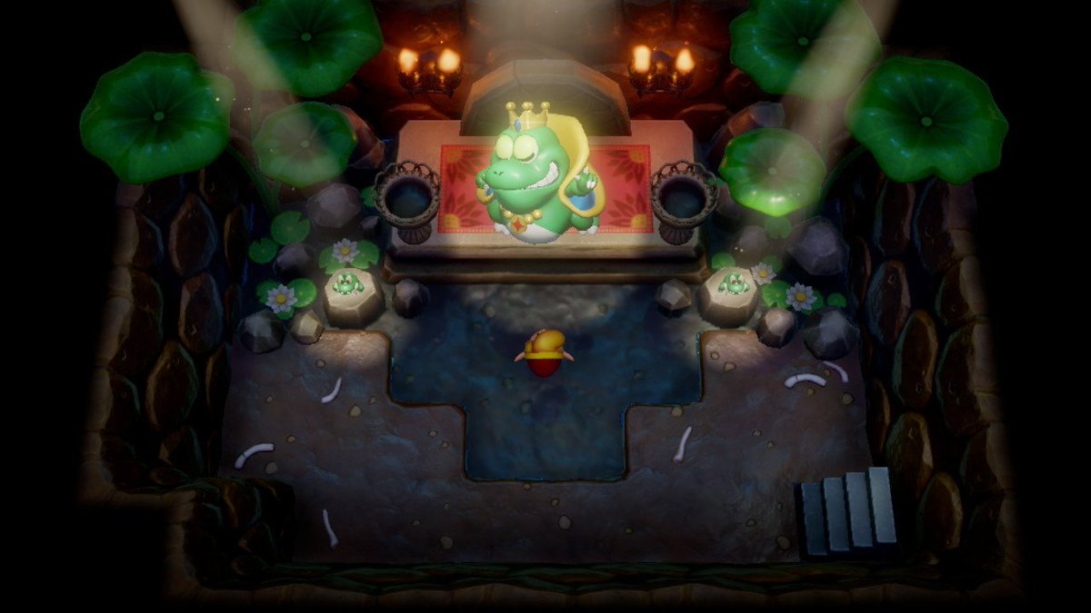 vanderSangen88's tweet photo. #LinksAwakening #NintendoSwitch https://t.co/7DYk0iX2ED