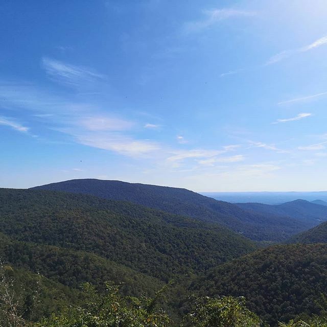 CourtnieEvents's tweet photo. Beautiful Blue Ridge Mountains.

#virginia #roadtrip #blueridgemountains #skylinedrive #usa #holiday
#courtnieevents https://t.co/tdGfCBj07y https://t.co/QN1FDCvHKq