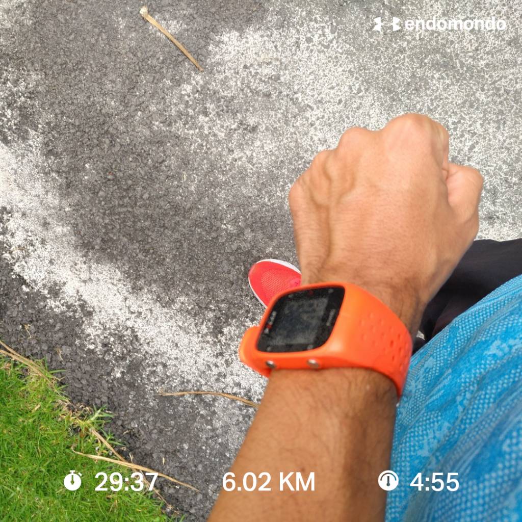 diablomxnet's tweet photo. #YoElegiCorrer
Un día a la vez... 👏🏾🤙🏾
#aquinadiesejustifica
#PincheClimaMeLaPela
#LoveRunSmile #LosCobardesTeam #AmameTragonComoSoy #Endomondo
#PolarM430 #EpicReact2 #Nike #TortoiseRunProject #TortoiseFamily https://t.co/mhoy7a4TJN