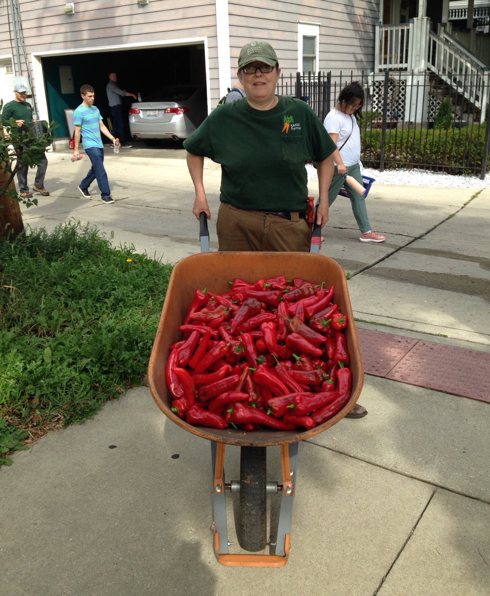 KAMIIGarden's tweet photo. Sunday, 9/22/19, 11:35am, near 47th/Greenwood, KAMII farmer Emilie wheeling 46 lbs of just harvested Carmen peppers https://t.co/bzLqC0sag2