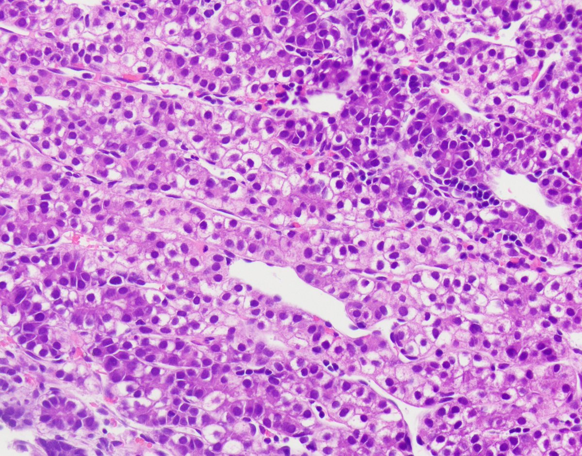 Ami Patel tweet media