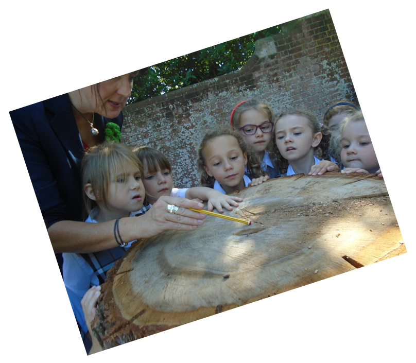 EASTBOURNE SCHOLARS for 2020 launch. Come and join us for 4pm tea on Thursday 3rd October to find out more. BOOK NOW admissions@roedeanmoirahouse.co.uk