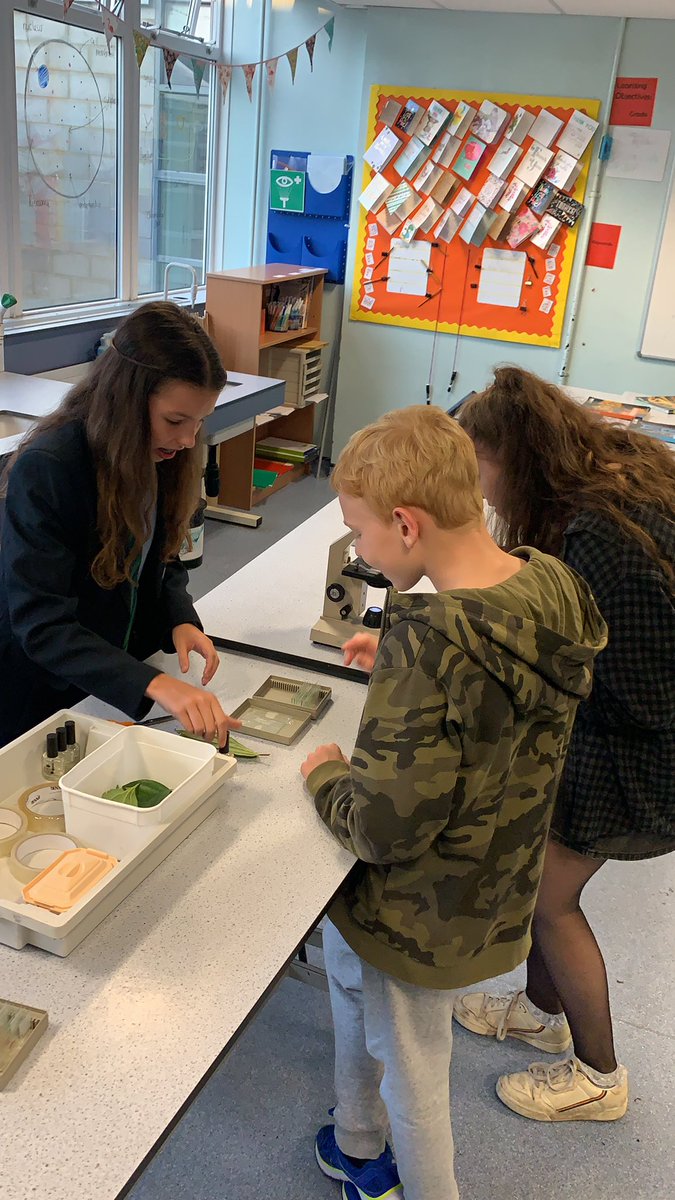 FleggScience's tweet photo. One of our wonderful @FleggHighOA Y9 Triple Scientists showing our guests stomata sampling and microscopy skills #openevening #determinedtodiscover https://t.co/lsVgHp08Gd