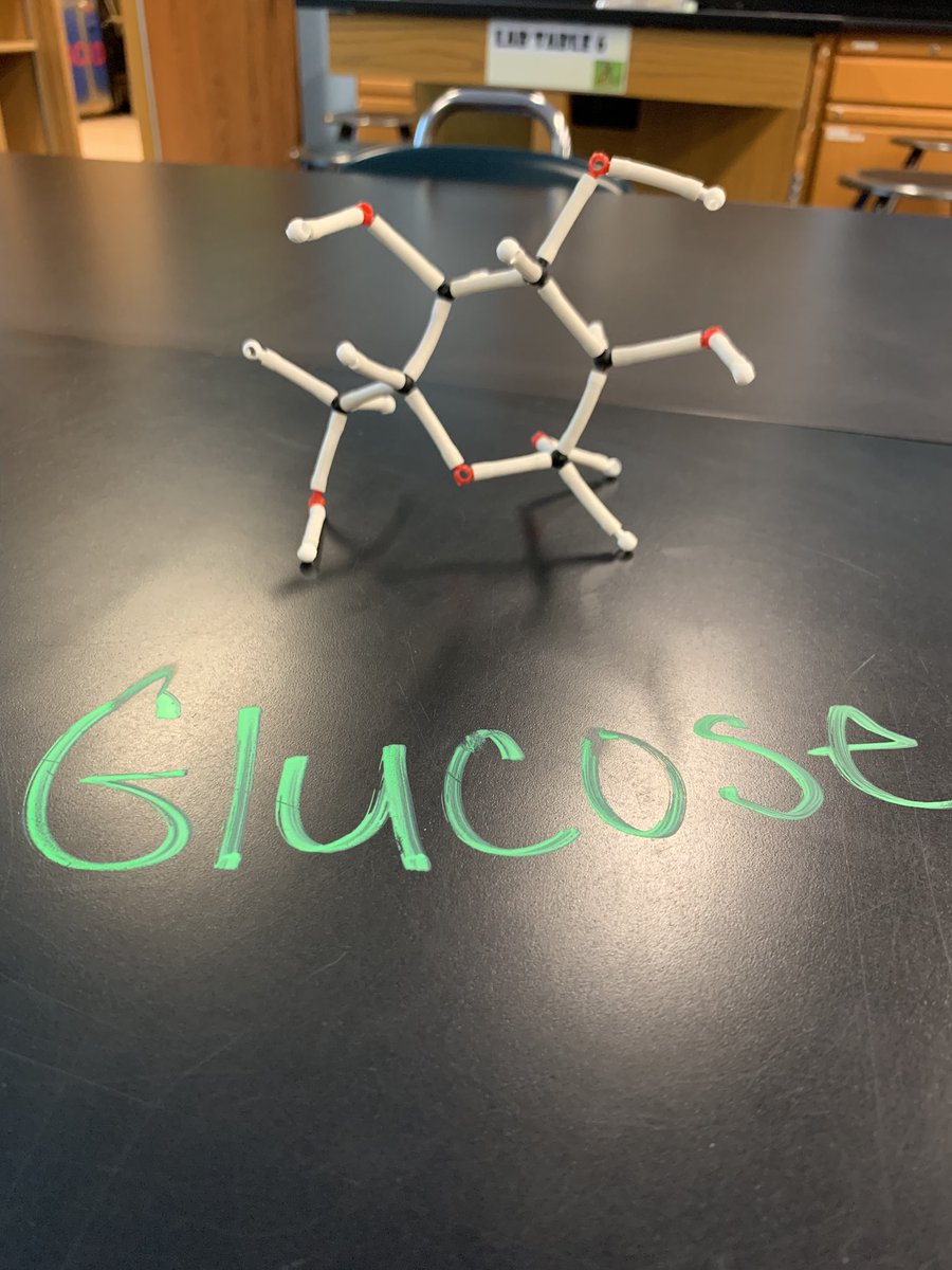 wernerbiology's tweet image. Another busy day in 310! #CPbio built glucose and modeled dehydration synthesis. #ISDstudentsdeserveit @IHSBucPride